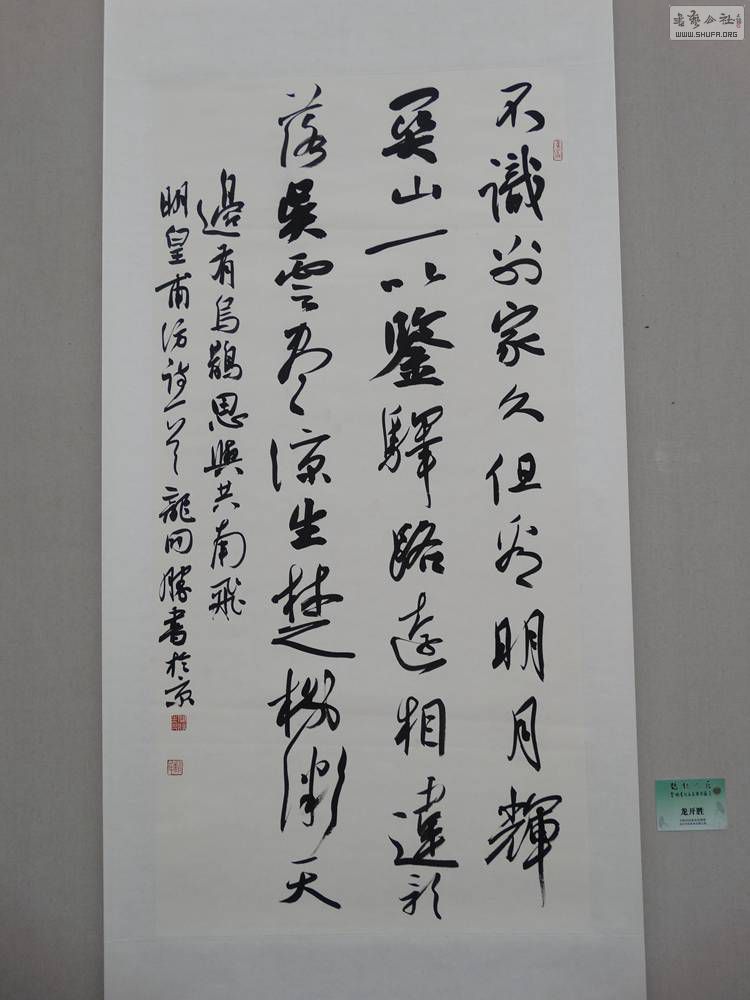 DSC04506.jpg