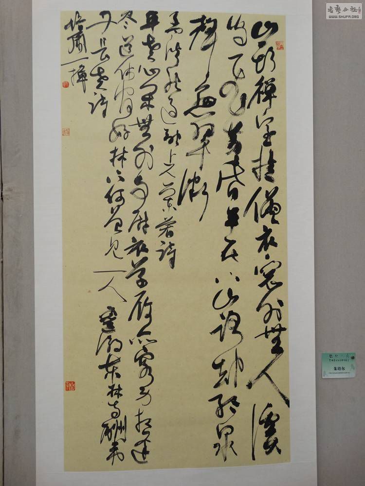DSC04522.jpg