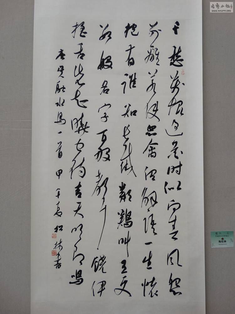 DSC04545.jpg