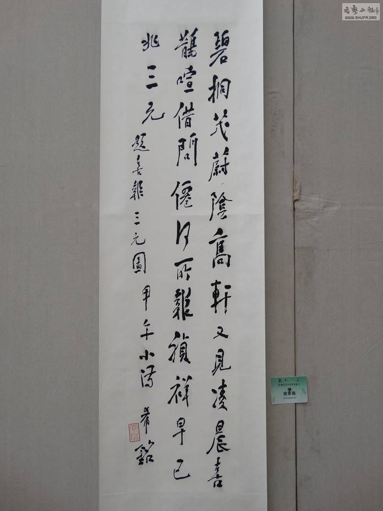 DSC04546.jpg
