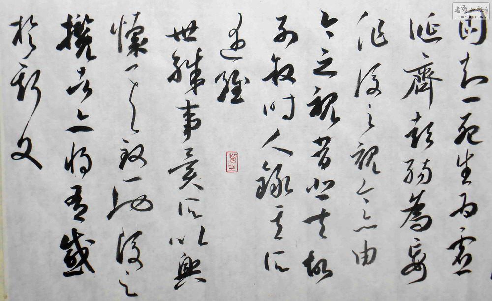 DSCN2532.jpg