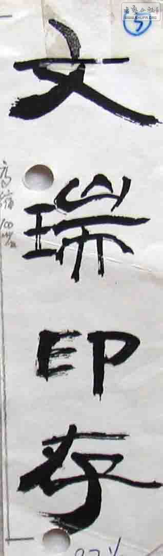 gongwangtizi.jpg