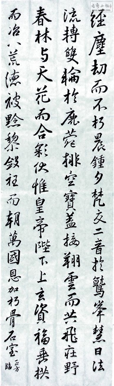 10159aa.jpg