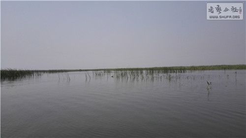 IMG_20140609_112054.jpg