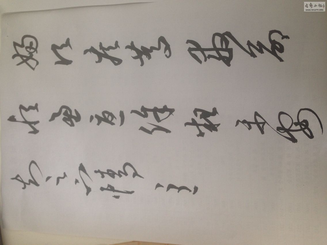 QQDƬ20140804093124.jpg