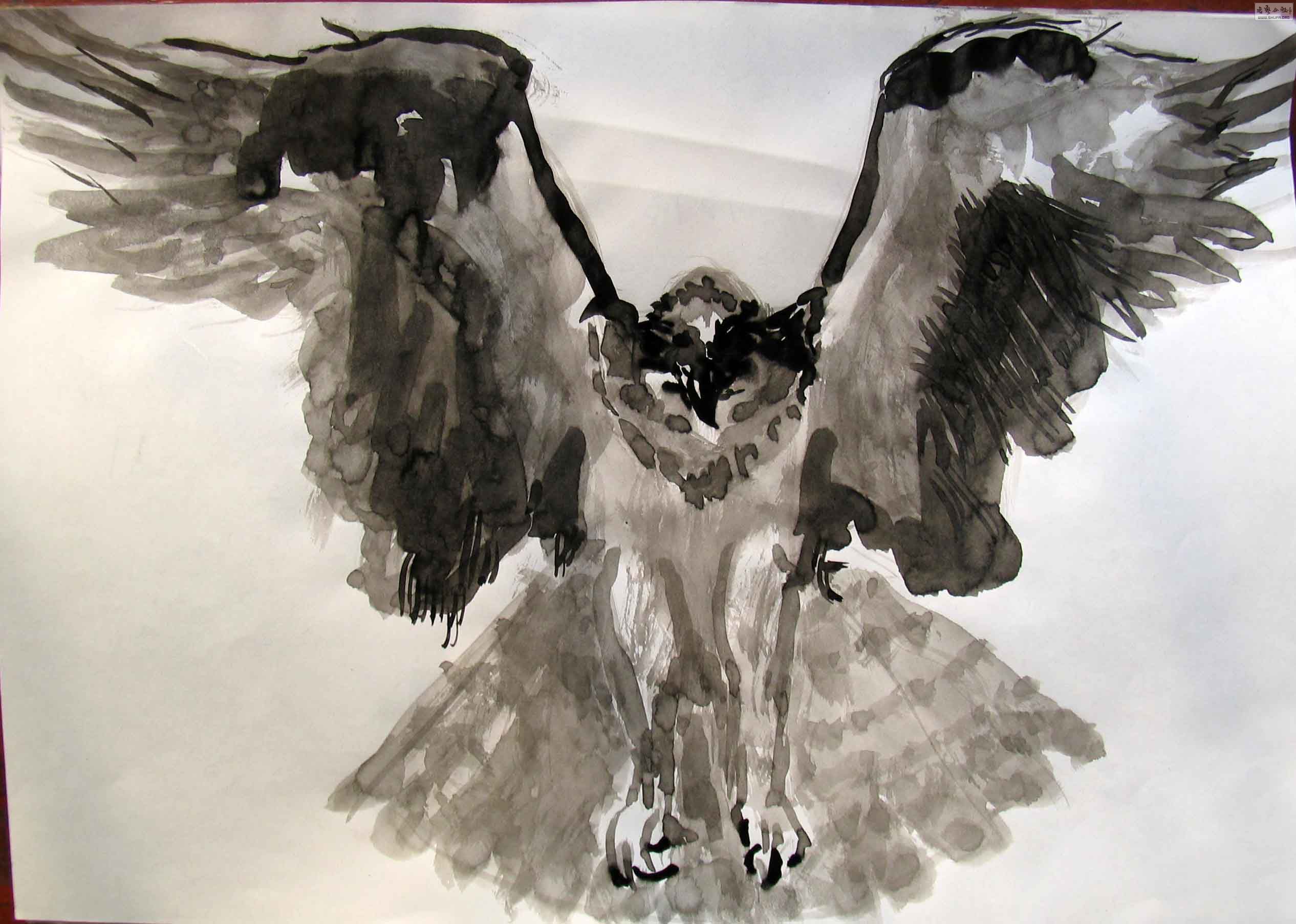 bird4.jpg
