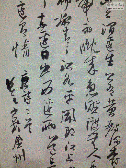 11.gif