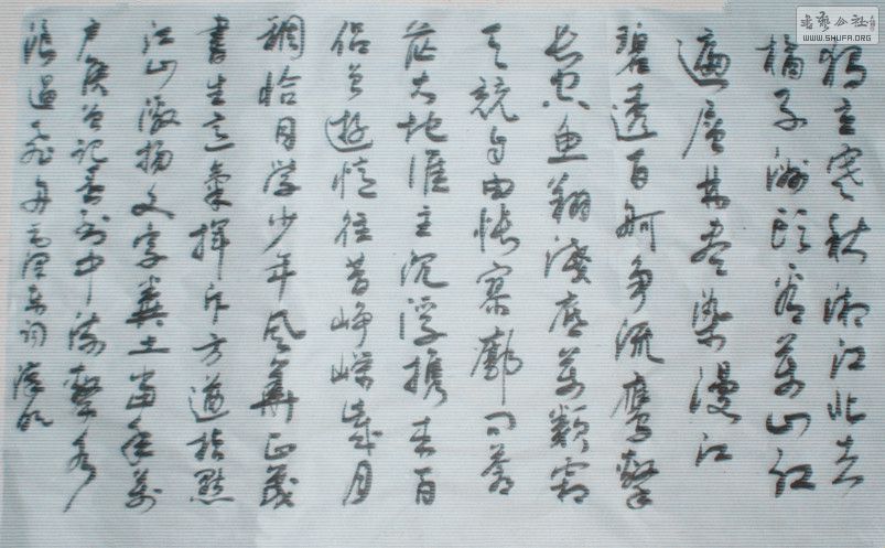 STP63138_.jpg