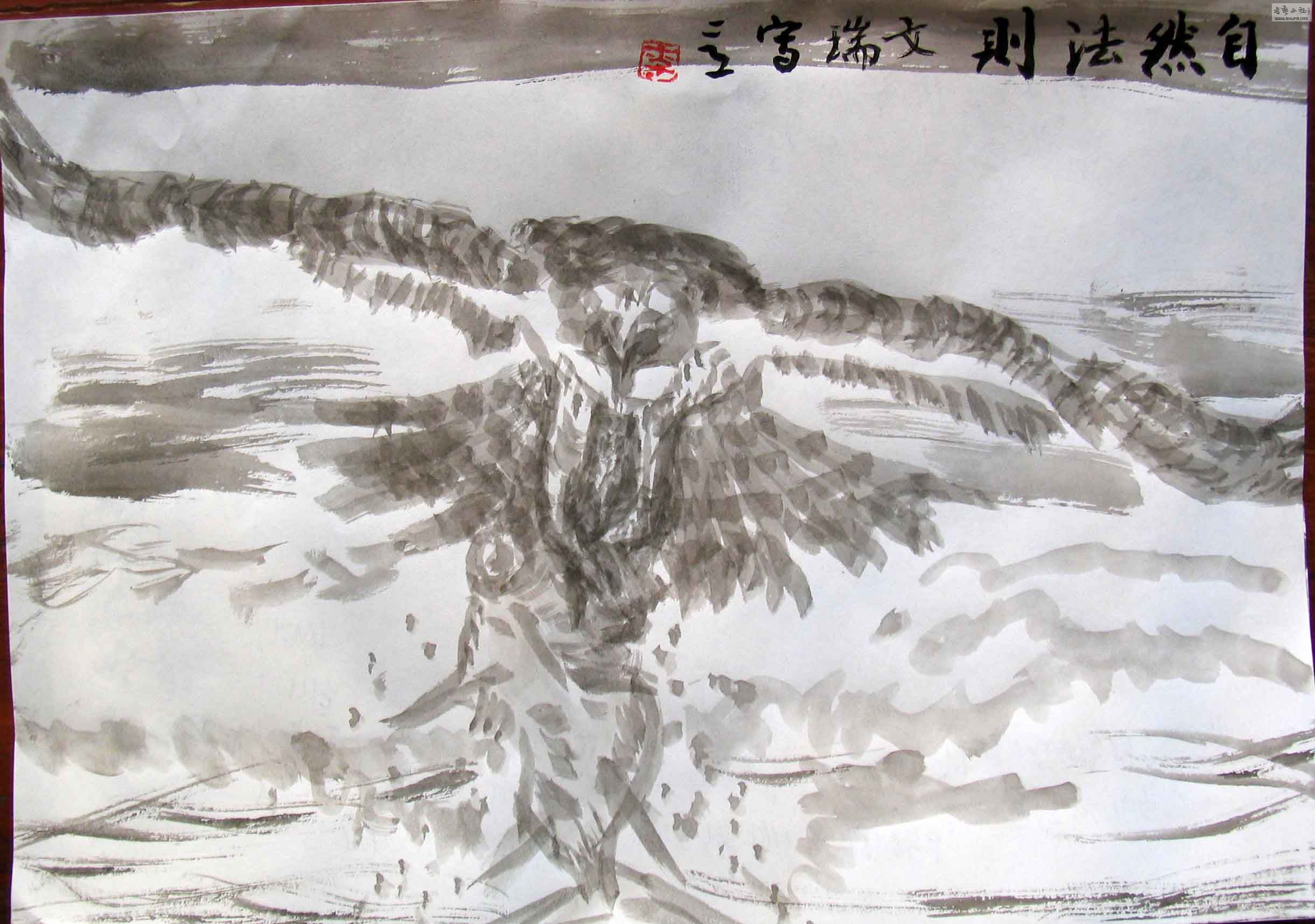 bird8.jpg