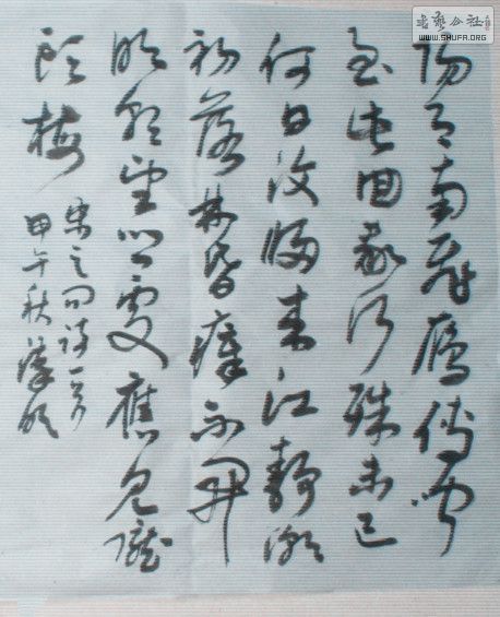 STP63154_.jpg