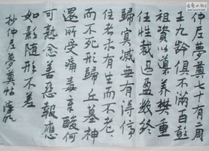 STP63158_.jpg
