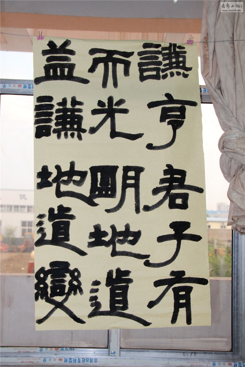 IMG_4841.jpg