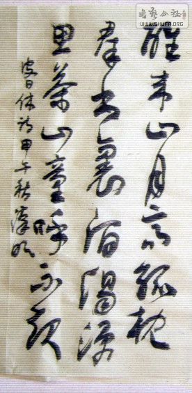 STP63160_1.jpg
