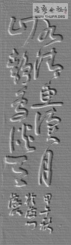 STP63161_2_.jpg