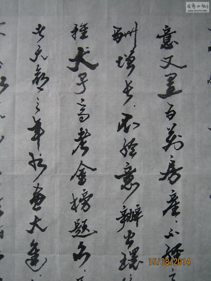 ɽ鷨-4.JPG