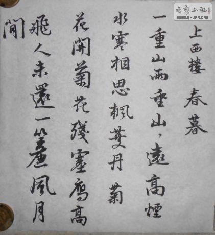 DSCN0973.jpg