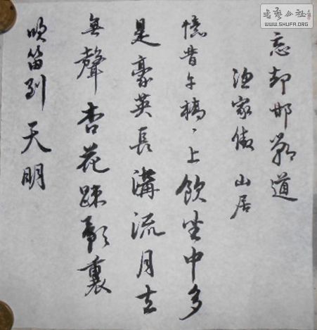 DSCN0976.jpg
