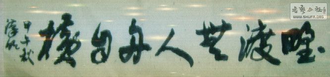 STP63186_.jpg