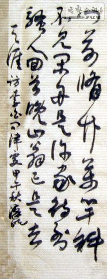 STP63204_2.jpg