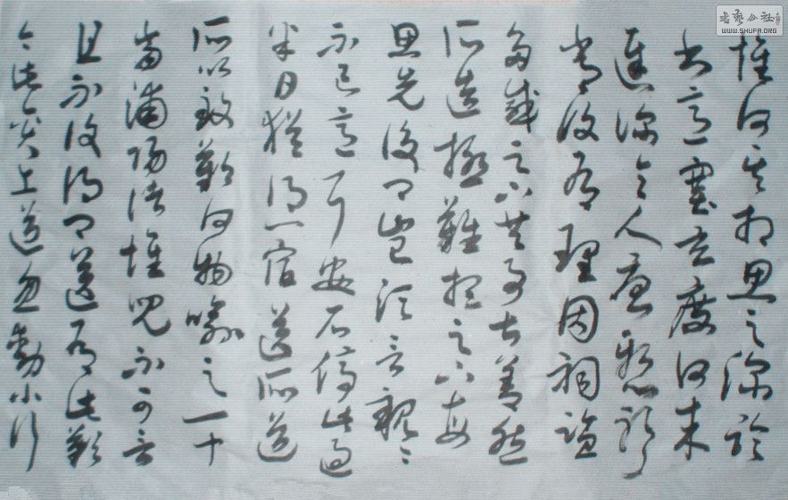 STP63205_.jpg