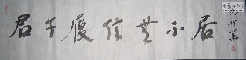 P1260nm735.JPG