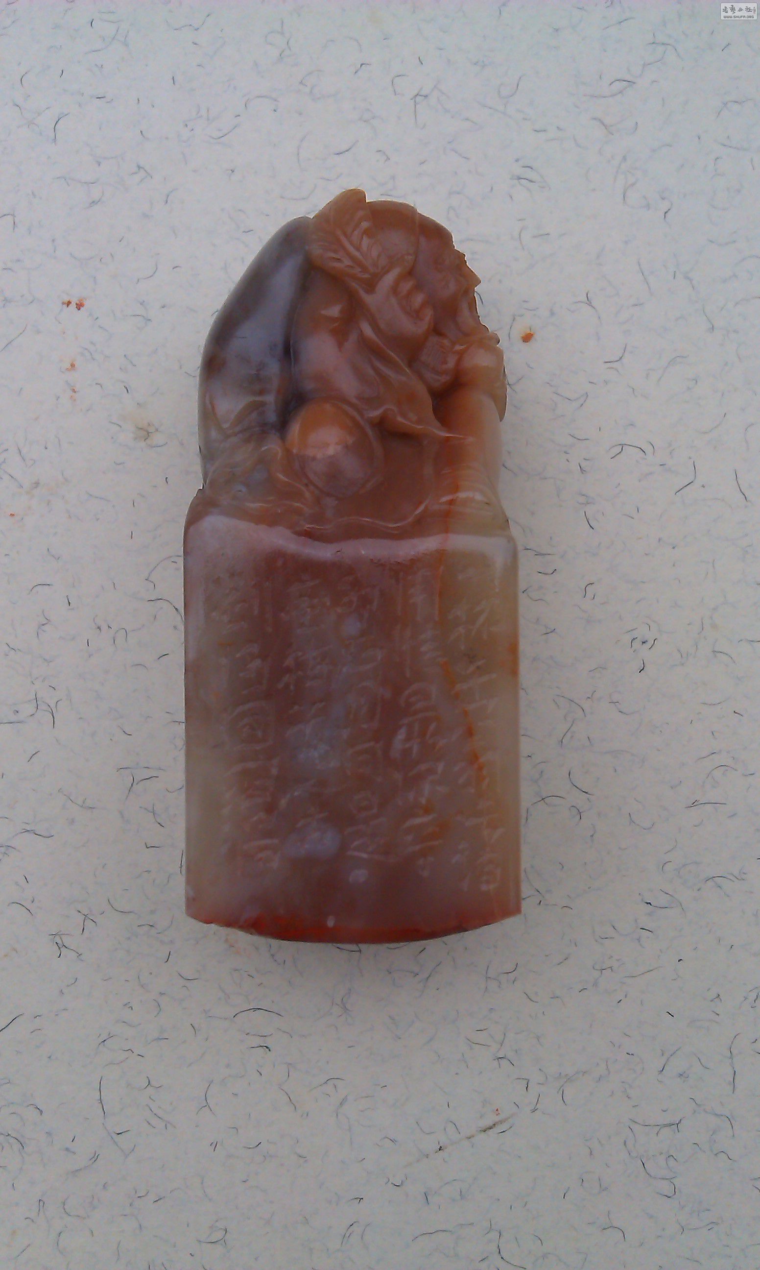 IMAG0932.jpg