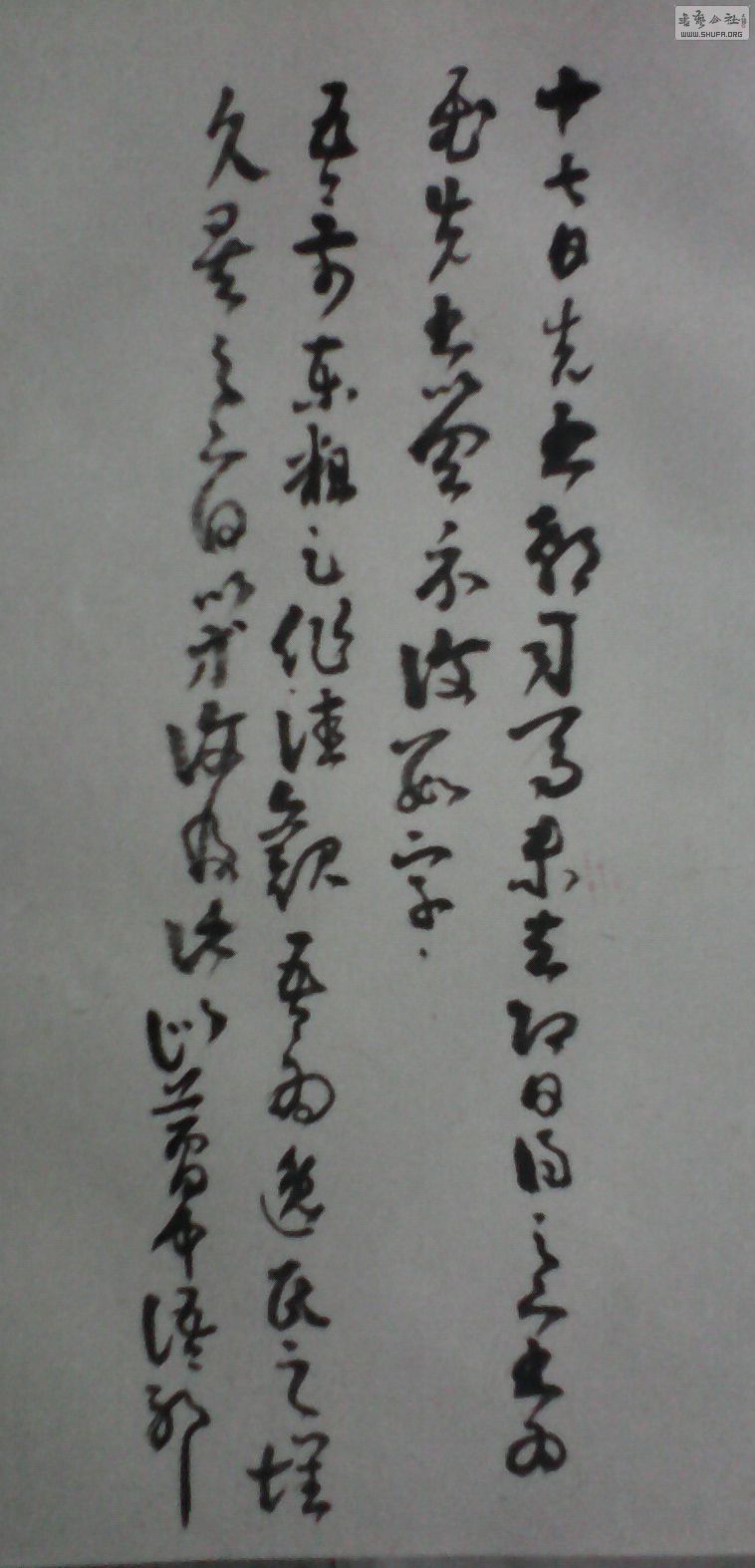 103.jpg