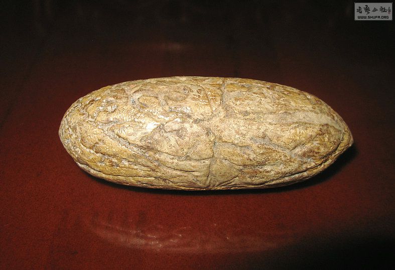 Ƭ 1571.jpg
