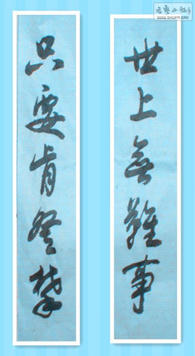 STP63267_.jpg