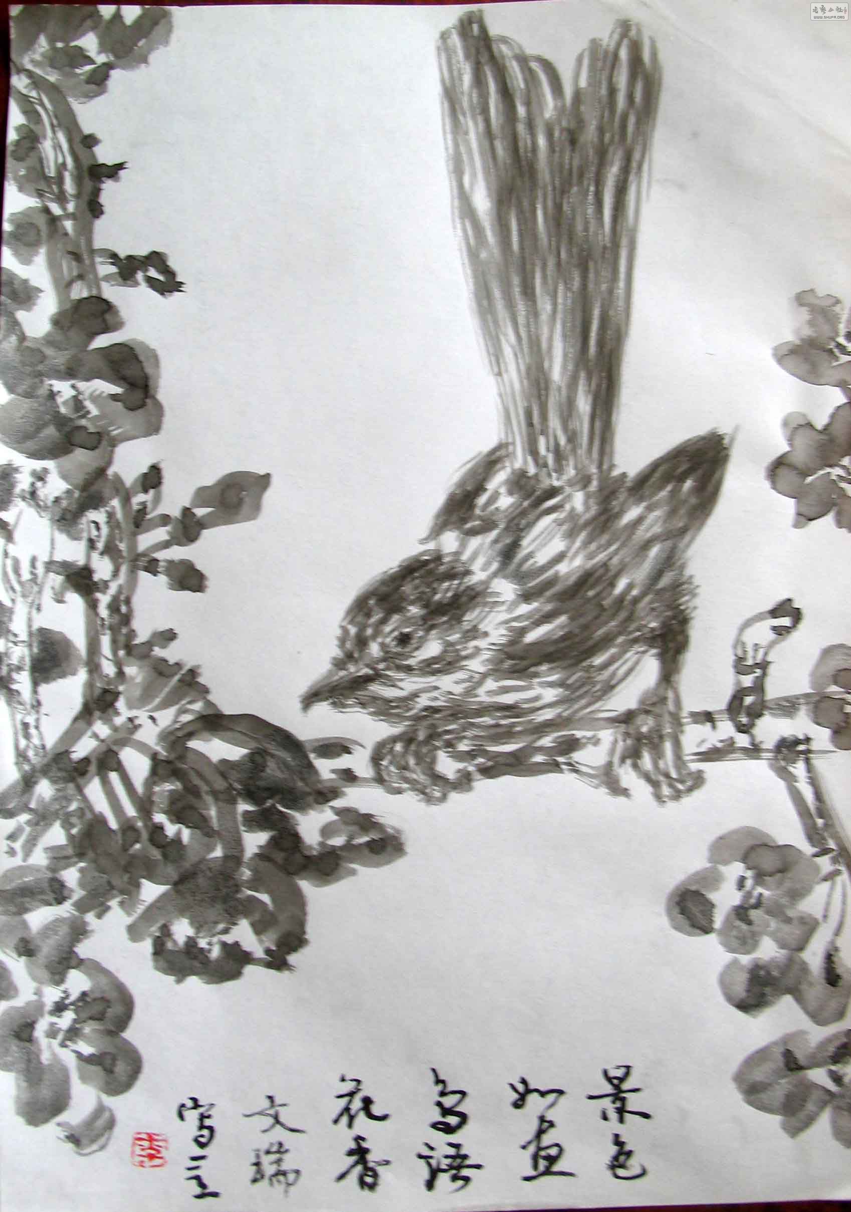 bird1.jpg