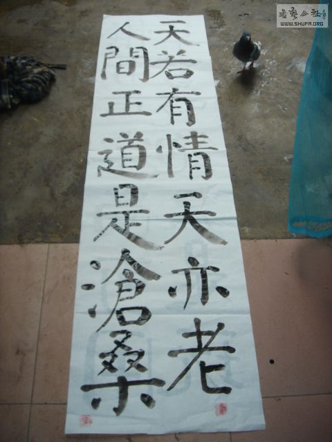 DSC03652++.JPG