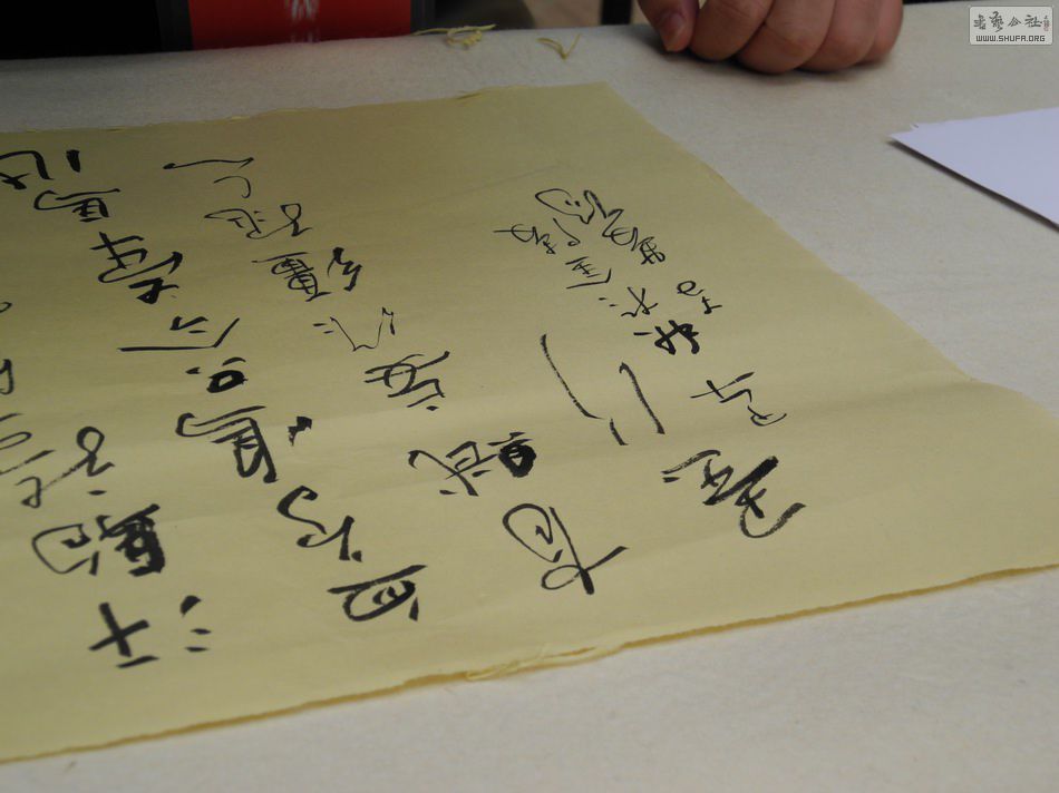 DSCN4613.JPG