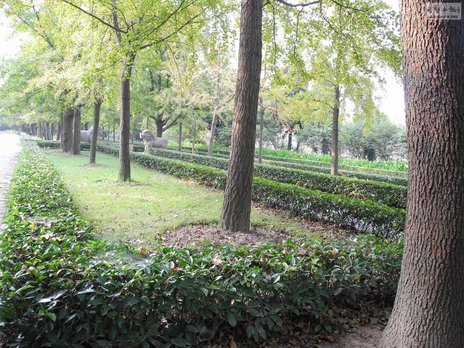 DSCN4803.JPG