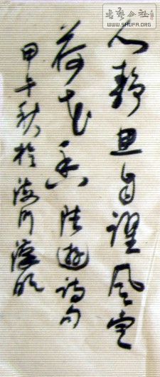 STP63295_.jpg