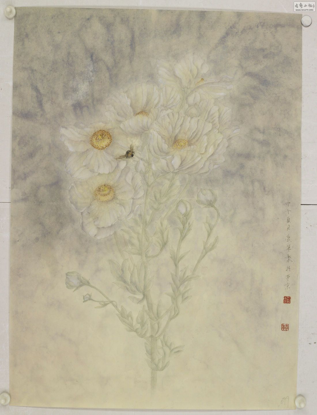 24㽱 ʻ ջ ΰ Ͼ 65cm47cm أ 84631.jpg