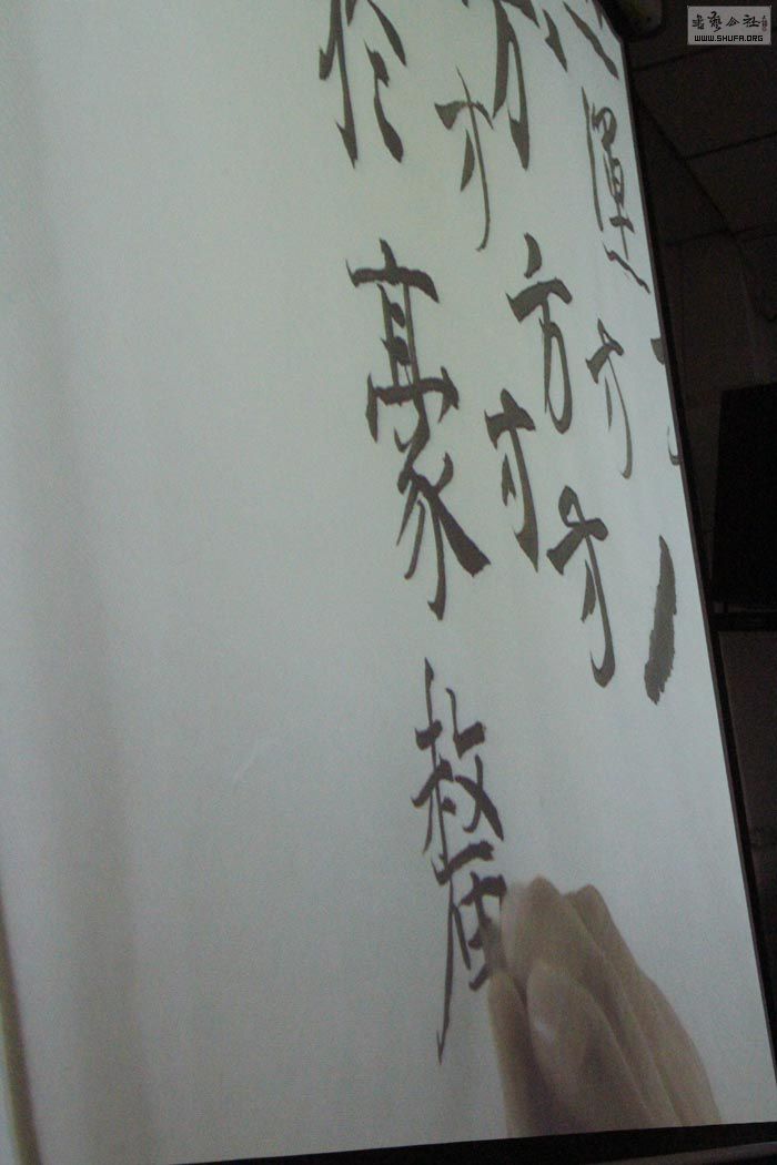 IMG_8689.JPG
