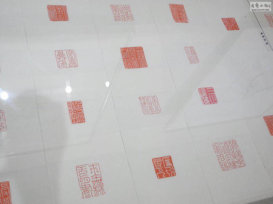 DSCN5595.JPG