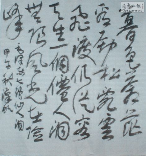 STP63350_.jpg
