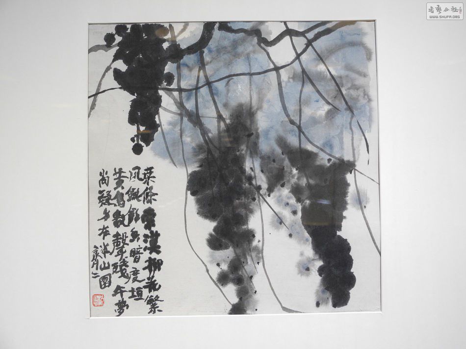 DSCN6089.JPG