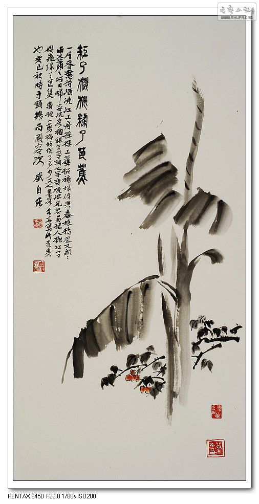 BAӣ˰Ž50x100xmֽ2012 - .jpg