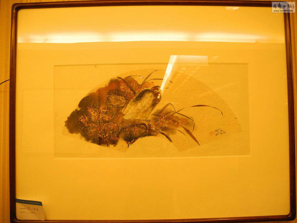 DSCN6390.JPG