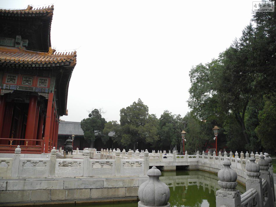 DSCN6179.JPG