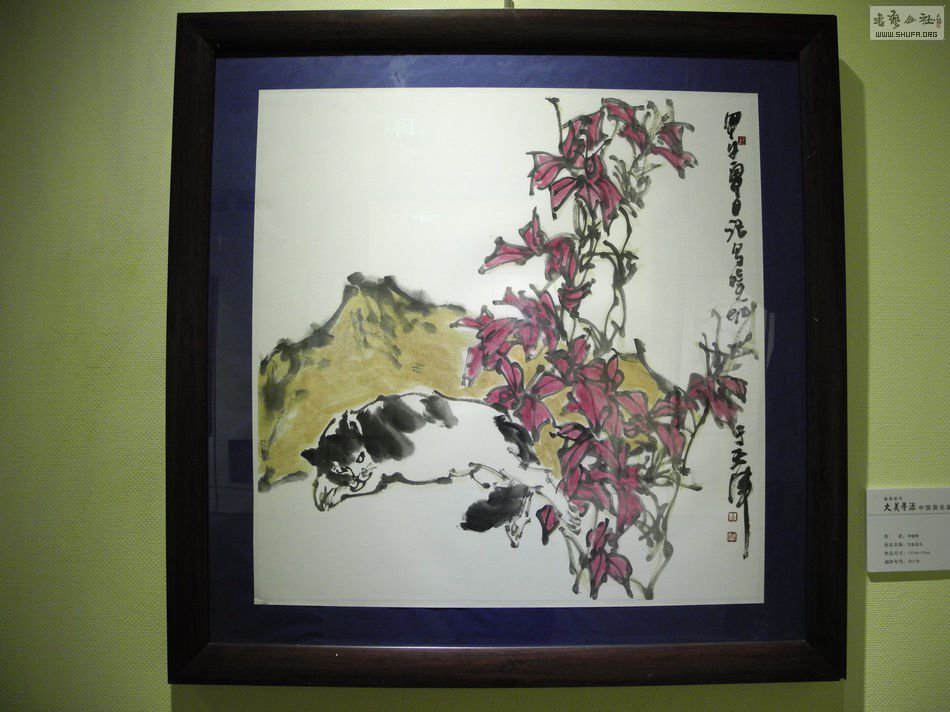 DSCN6163.JPG