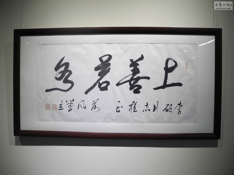 DSCN6800.JPG