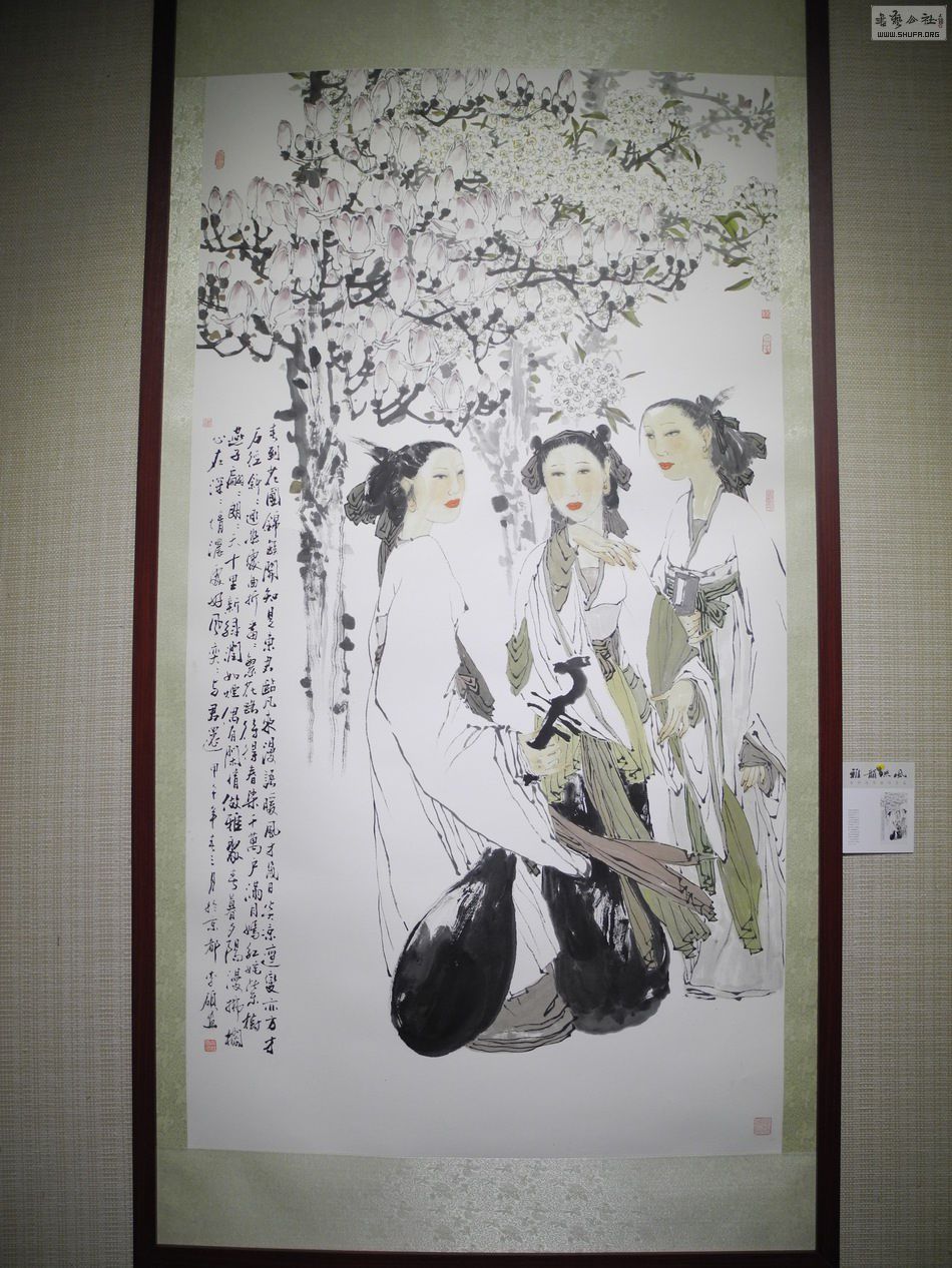 DSCN6803.JPG
