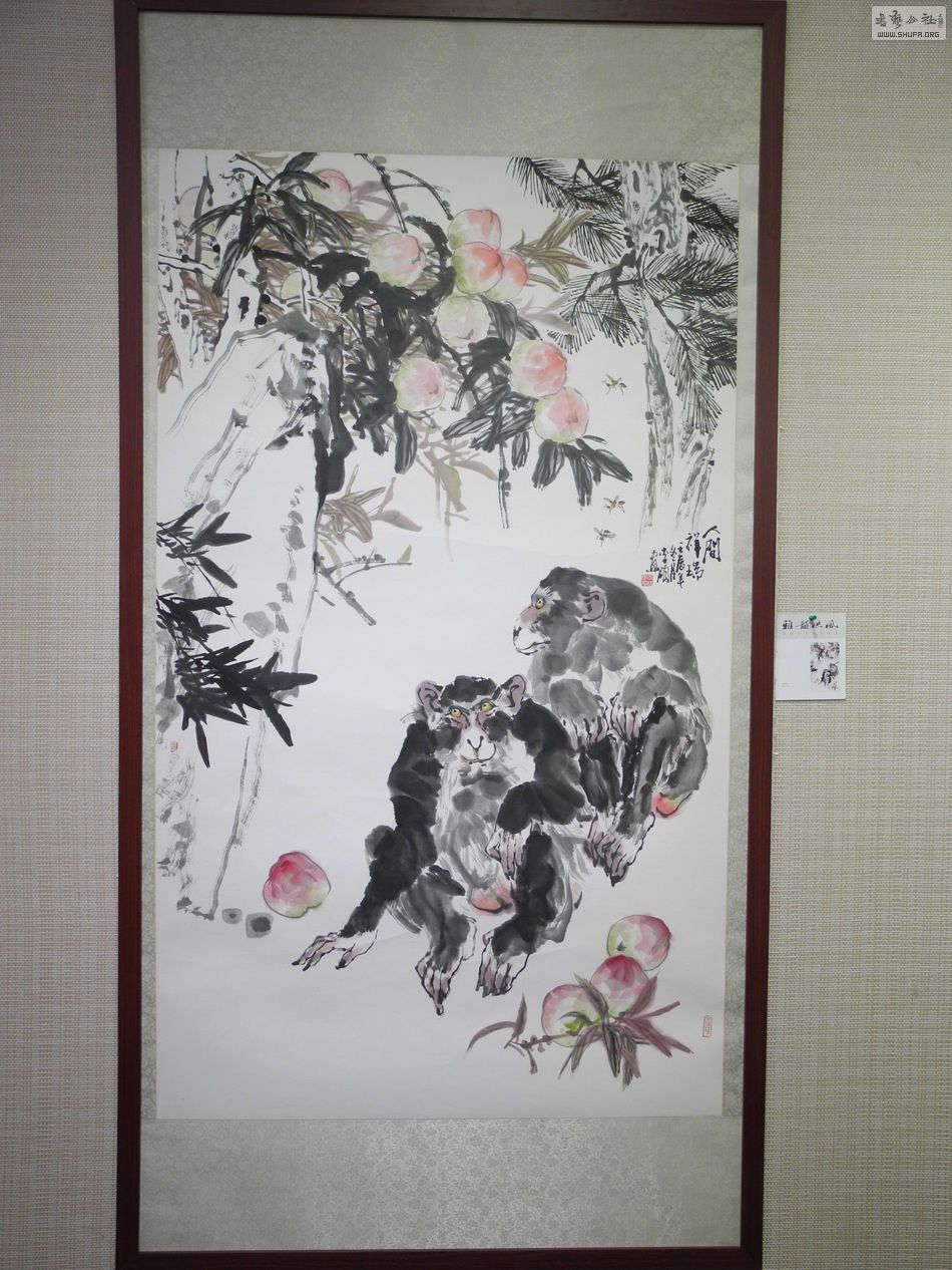 DSCN6894.JPG