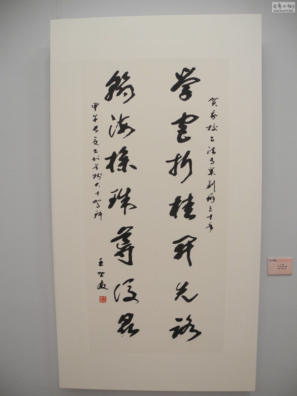 DSCN6563.JPG