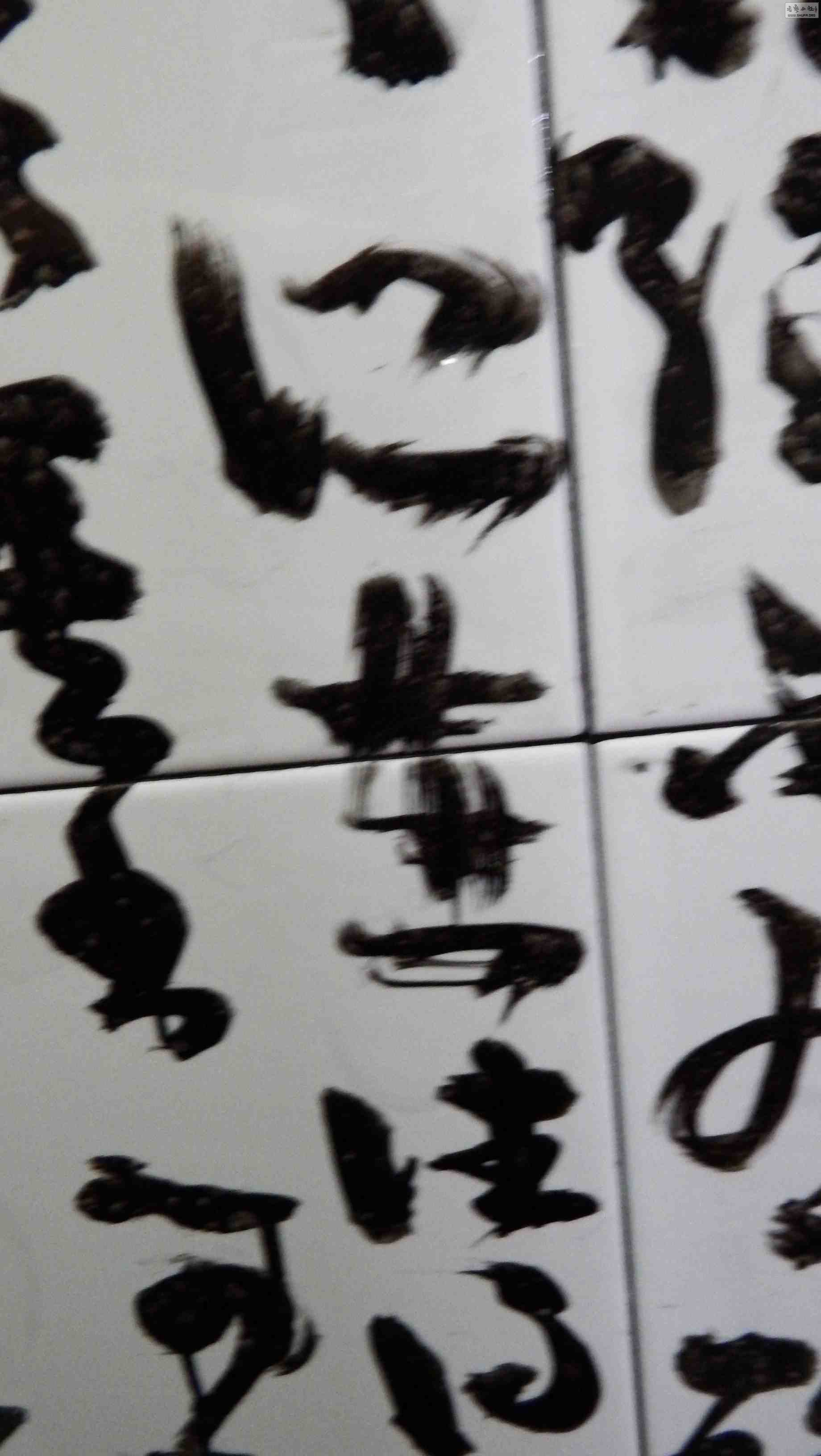 37.jpg