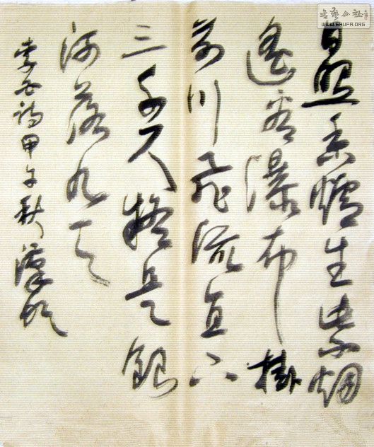 STP63450_.jpg
