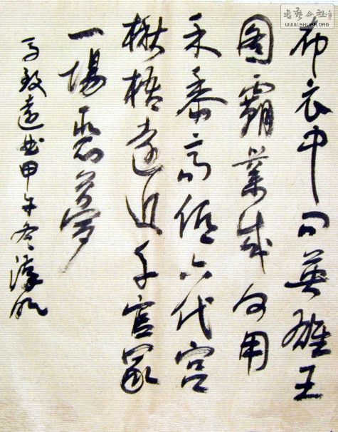 STP63454_.jpg